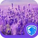 Logo of Lavender android Application 